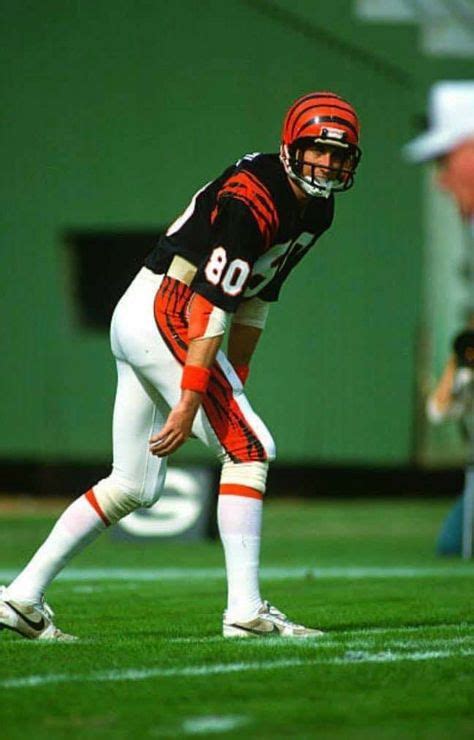 Cris Collinsworth | Bengals football