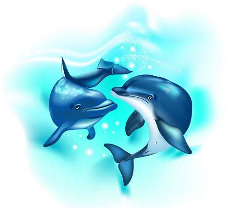 two realistic dolphins - Clipart World