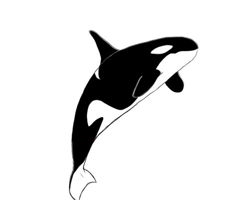 Killer Whale Drawing - killer whale by stvnhthr on DeviantArt - This design would work well as a ...