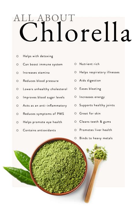 All About Chlorella in 2020 | Health food, Health heal, Health and ...
