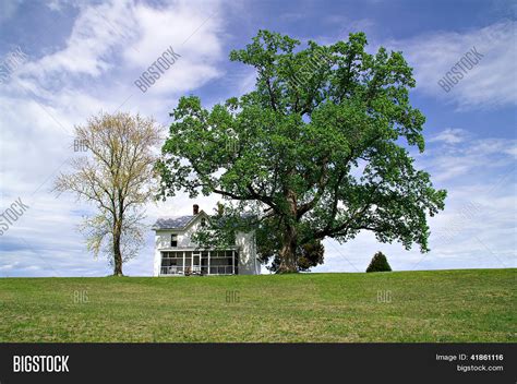 White House on a Hill at Springtime Stock Photo & Stock Images | Bigstock