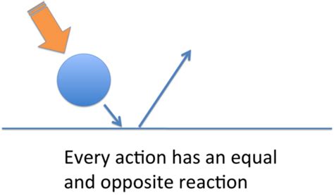 Newton's 3rd law of motion Flashcards | Quizlet