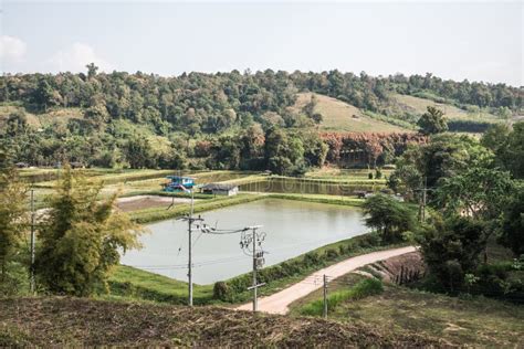 Countryside view in Thai stock image. Image of spring - 214834133