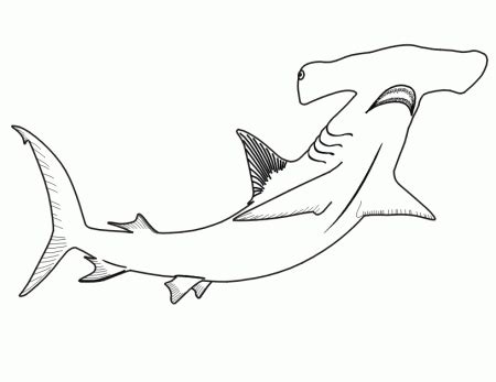 Hammerhead Shark Coloring Page - Coloring Nation