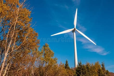 Wind turbine farm stock photo. Image of energy, nature - 78504900