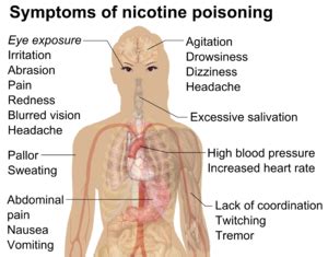Safety of electronic cigarettes - Wikipedia