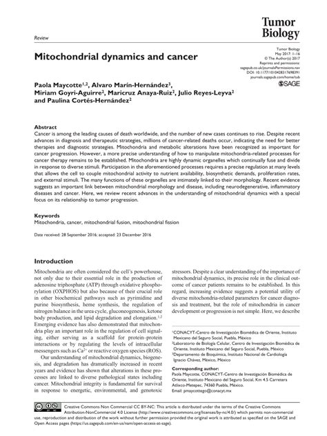 (PDF) Mitochondrial dynamics and cancer