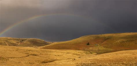 Elan Valley wildlife location in United Kingdom, Europe | Wildlife ...