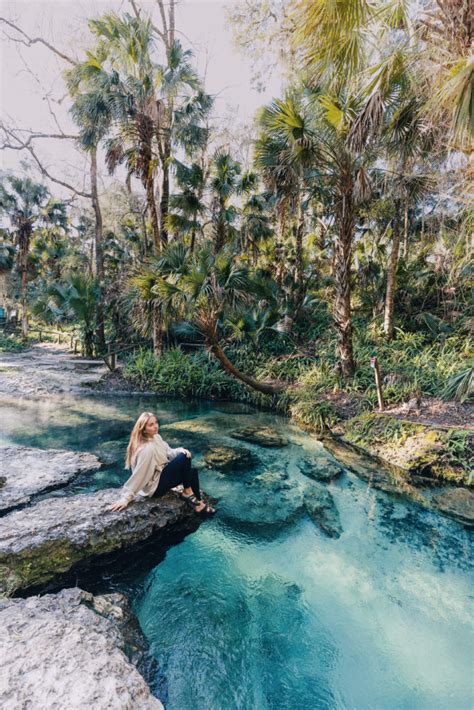 Kelly Park Rock Springs: Off-The-Beaten-Path Central Florida Attraction