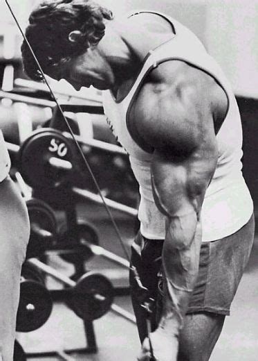 Arnold triceps - Hombre Fitness Moderno