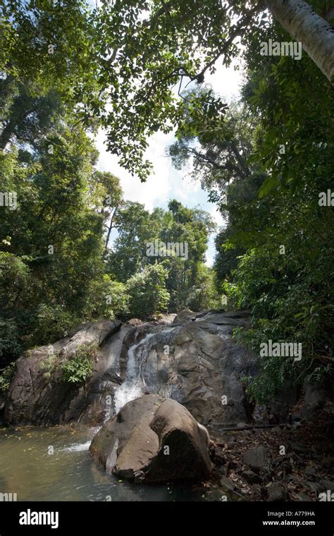 Ton Pling Waterfall, Khao Lak Lamru National Park, Khao Lak, Phang Nga ...