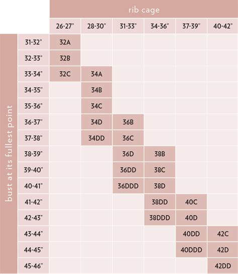 What Bra Cup Sizes Look Like