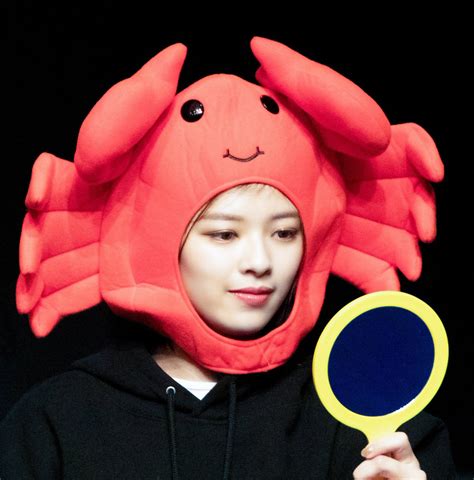 1004 on Twitter: "RT @jeongyeonieluv: jeongyeon as starter pokemon lmao; u got the crab fire ...