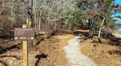 The Many Trails At Nickerson State Park On Cape Cod. | Cape Cod Blog