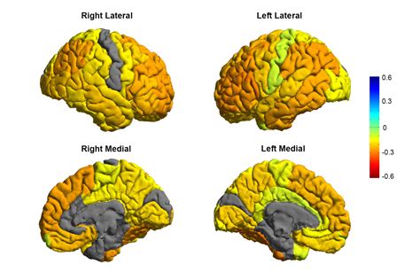 Scientists reveal the first ever map of the bipolar brain