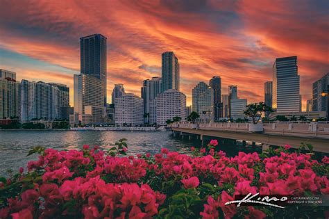 Downtown Miami from Brickell Key During Sunset in 2021 | Downtown miami ...