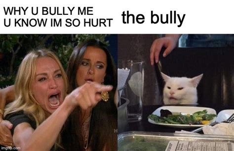 bullies :/ - Imgflip