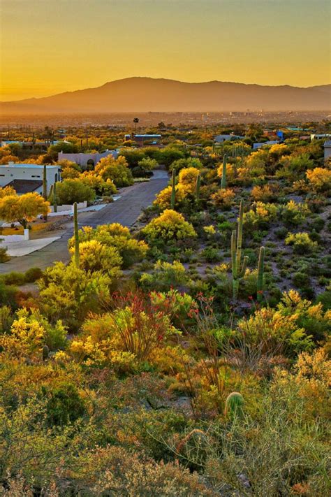 17 HONEST Pros & Cons of Living in Tucson (Local's Advice)