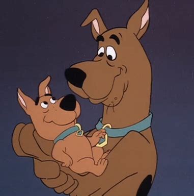 Scooby-Doo and Scrappy-Doo (relationship) | Scoobypedia | FANDOM ...