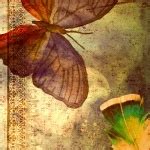 Butterfly Textured Scrapbook Paper Free Stock Photo - Public Domain Pictures