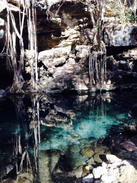 Cenote San Antonio Mulix, Valladolid | Yucatan mexico, Valladolid, Nature