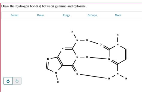 Solved Draw the hydrogen bond(s) between guanine and | Chegg.com