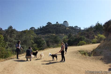 West Observatory Trail to Griffith Observatory | Hikespeak.com