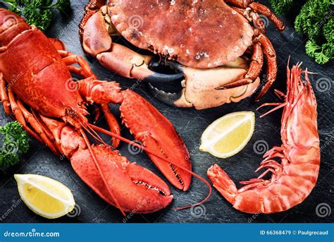 Lobster Or Crab Traps Royalty-Free Stock Photo | CartoonDealer.com #52677219