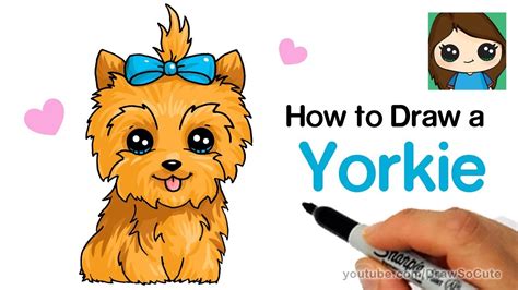 Hình vẽ cute yorkie drawing Cho buổi chiều tuyệt vời