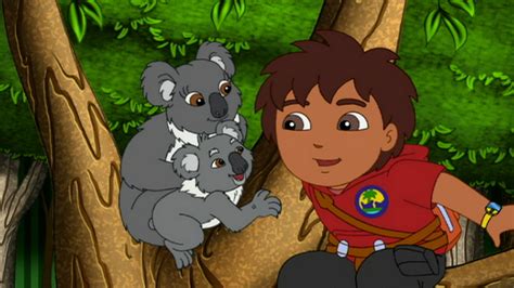 Watch Go, Diego, Go! Season 4 Episode 14: Koala's Birthday Hug - Full ...