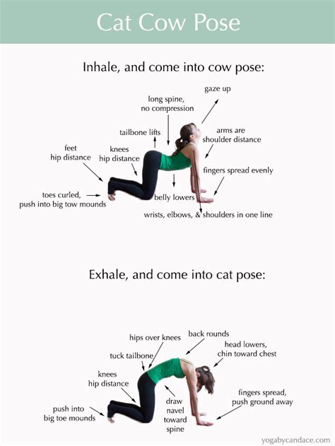 How to do Cat Cow Pose — YOGABYCANDACE