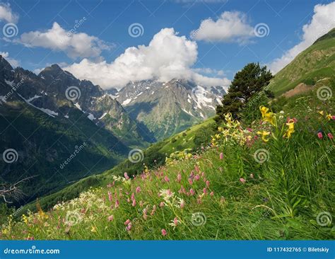 Sunset in the Mountain Valley Stock Image - Image of grow, grassland: 117432765