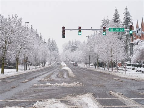 Bellevue Prepares For Snow, Frigid Temperatures | Bellevue, WA Patch