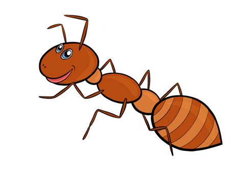 Ant Cartoon Drawing | Free download on ClipArtMag