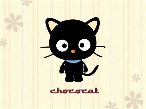 Chococat - Sanrio Wallpaper (56144) - Fanpop