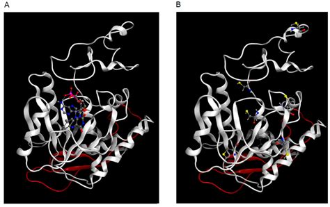 Molecules | Free Full-Text | Bacterial Production, Characterization and ...