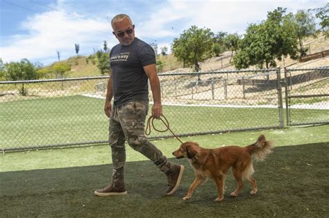 'Dog Whisperer' Cesar Millan offers tips for dog owners - Los Angeles Times