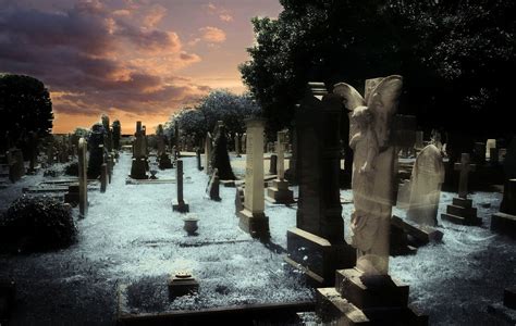 Ghost Tour, Southport Cemetery Ghost Tour - Gold Coast - Adrenaline