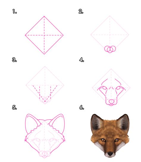 How To Draw A Fox Face Step By Step Easy at Brent Sandoval blog