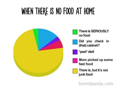 38 Hilarious Pie Charts That Are Absolutely True | Funny charts, Funny ...