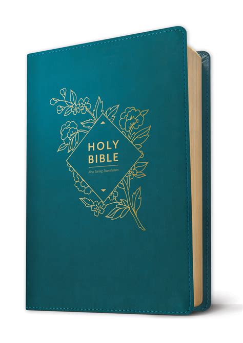 Holy Bible, Giant Print NLT by New Living Translation | Free Delivery ...