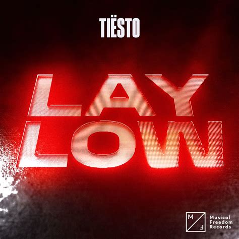 ‎Lay Low - Single by Tiësto on Apple Music