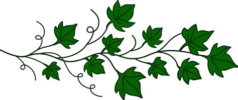 Free Vine Cliparts Transparent, Download Free Vine Cliparts Transparent ...