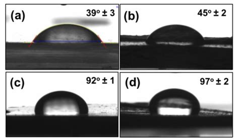 Biomimetics | Special Issue : Bioinspired Microfluidics