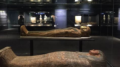 Egyptian Mummies from the British Museum: Exploring Ancient Lives | IMA Solutions