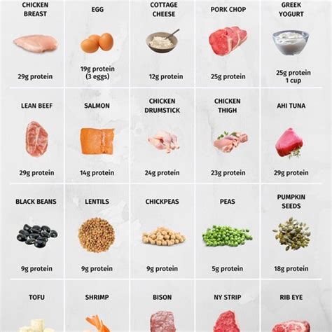 High Protein Foods Reference Chart PRINTABLE / INSTANT - Etsy