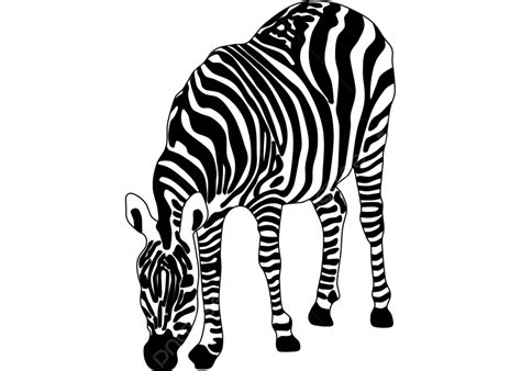 Zebra Cute, Zebra, Cartoon, Cartoon Zebra PNG Transparent Clipart Image ...