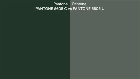 Pantone 5605 C vs PANTONE 5605 U side by side comparison