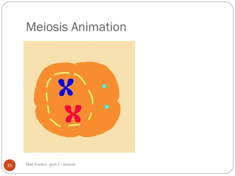 PPT - Unit 8 – Part 1 Notes Meiosis and Mutations PowerPoint Presentation - ID:2128195