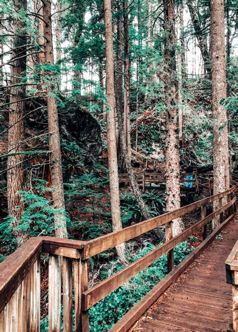 Hiking Twin Falls Trail, WA (Pro-Tips, How to Get There, and More!)